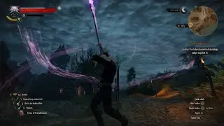 The Witcher 3 Magic Spell Mod II