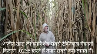 अजीत ताऊ जी हमारे क्षेत्र के सबसे टेक्नीकल किसान। सबसे कम लागत में बहुत शानदार 0 238 करते हैं तैयार