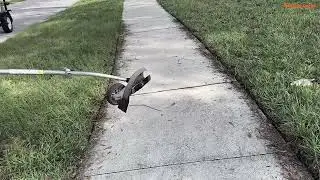 The yard with a long sidewalk