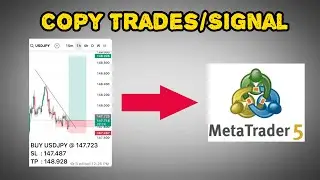 How to Copy Trades/Signals to MetaTrader 5 (MT5) | Step-by-Step Guide