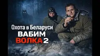 ВЗЯЛИ МАТЕРУЮ, охота на волка с вабой!