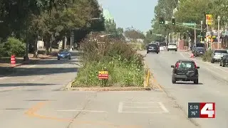 Neighborhood organizations considering alternatives for planters along South Grand due to expensi...