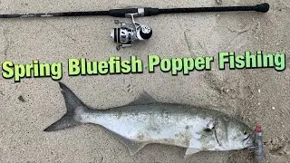 Spring Bluefish Popper Fishing Long Island NY
