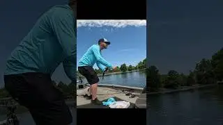 We eat bass