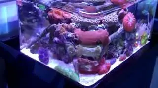 Aquatic Art Inc.'s ZeroEdge