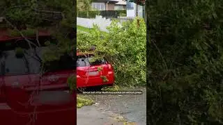 Cyclone Tam Strikes New Zealand | Severe Weather Impact #CycloneTam #NewZealandWeather #BreakingNews