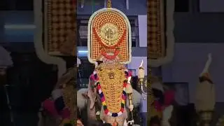 #thrissur #festival #thiruvambadi #elephant #devotional