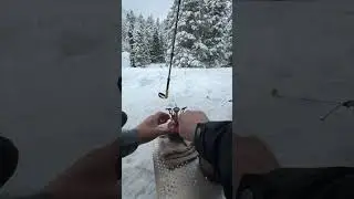 Snow Camping #snowcamp #wintercamping #ASMR  #WinterCamping #NatureSounds #RelaxingSounds #Snowfall