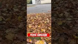 When autumn falls!!please #subscribe #lifeisbutadream  #shortvideos #shorts