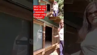 Sliding doors on the outside of this urban #chickencoop make cleanup a breeze! #backyardchickens