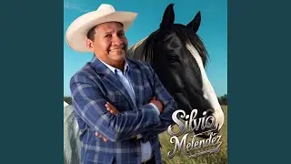 Musasito
