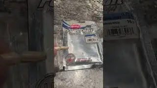 Berkeley Power Bait #icefishing #fishing