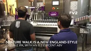 Wiley Roots releases first canned beer
