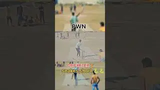 Snakes short 🐍🐍 cricket video #cricket #viralshort #ytshorts #trending #yt #cricketyoutubeshorts