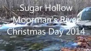 Sugar Hollow, Moorman's River streamside