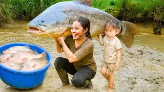 Catching Giant Carp and Tilapia to Sell at Market - Cook Yummy Fish Porridge for Little Kids