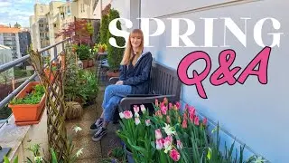 Spring Container Garden Q&A: Fertilizing, Overfilling My Space & Roses For Shade?