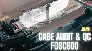 Case Audit & QC