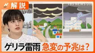 「今週は天気の急変も」“ゲリラ雷雨”に要注意! 突然の雷に対策は？外にいる時は「電線の下」に避難も有効【Nスタ解説】｜TBS NEWS DIG