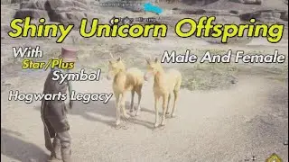 Hogwarts Legacy - Shiny Unicorn Offspring Male And Female With Star/Plus Symbol