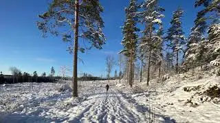 Kristdala M&ouml;sj&ouml;n Januari 2021