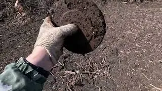 КОП МЕТАЛЛА 11.03.2025