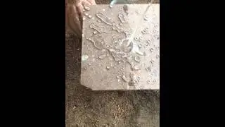 HydroShield sealer on Cantera stone