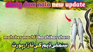 Simly dam nala New update 🐳 | 31.8.2025 Sunday | 🐳سملی ڈیم کی تازا رپورٹ | hamza official 321