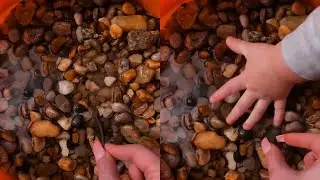 'Poor Lizard!' Swift Baby Grabs Lizard In The Blink of an Eye 😂😂 || Try Not To Laugh