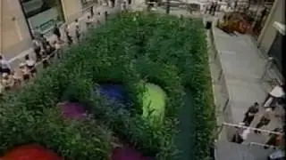 THE AMAZING MAIZE MAZE on NBC's 