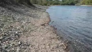 Ancil Hoffman Park @ American River