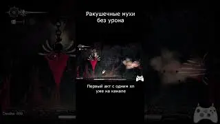 Ракушечные мухи без урона | Great Conchfly without damage #hollowknightsilksong