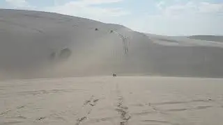 St Anthony Devils dune