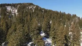 Idaho's 2026 winter hits warmest on record since 1934