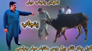 Maidan Mein aaya tej raftar bull Gol chakkar time race bull mila jrahi #youtubevideos #villagelife🐂💯