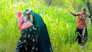 ज़्वार काटने को लेकर देरानी जेठानी का झगड़ा !! राजस्थानी हरियाणवी कॉमेडी !Asha Gujri , Bhanwari Devi