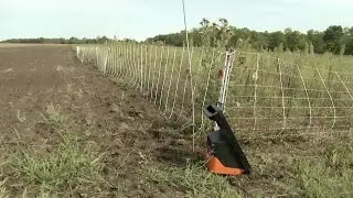 Prairie Yard & Garden | Minnesota Native Landscapes | Steps to Plant Native Species