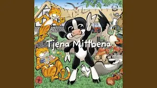 Tjena Mittbena
