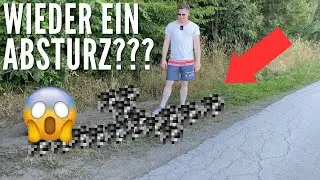 NEUER RC-FLIEGER (WIEDER EIN ABSTURZ???😱)