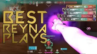 Ultimate Reyna Montage | VALORANT | 10MD | #1