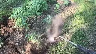 How to rototill your garden flower beds organically with no chemicals with a pressure washer farm 💰