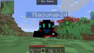 Survie Minecraft #1