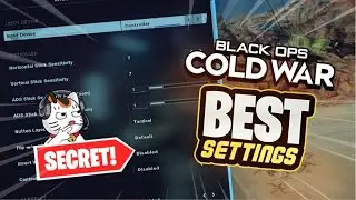 *NEW* Black Ops Cold War BEST SETTINGS for CONTROLLER and PC PLAYERS!