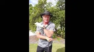 Greg Norman The Best Driver of the Golf Ball.
