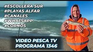 VISITAMOS LAS PLAYAS DEL ALFAR, PESCA DE ESCARDONES, CORNO EN SAN CAYETANO, INFORME CANALES