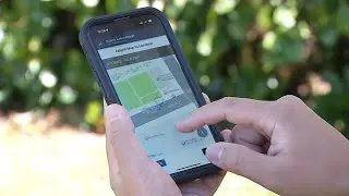 SF's newest strategy to tackle homeless crisis: using 311 app to report encampments