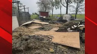 Eight dogs passed away after a fire at JAR-Justice Animal Rescue over the weekend