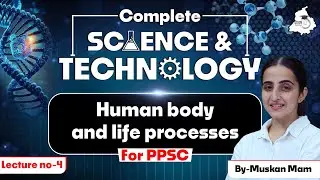 Punjab PCS 2025: Human Body & Life Processes | Complete Science & Technology Lec- 04 in Punjabi
