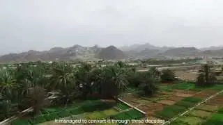 Ajman 