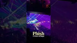 #phish #livemusic #jamband #concert